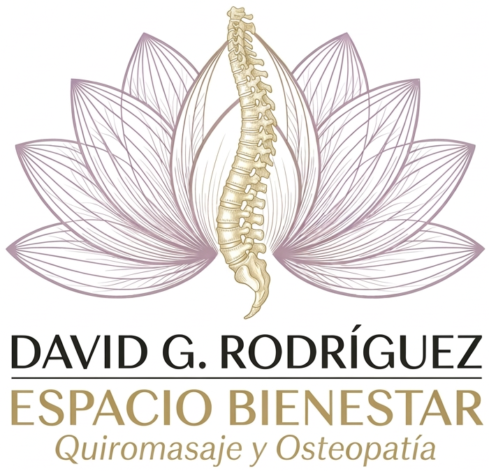 davidgrodriguez.es